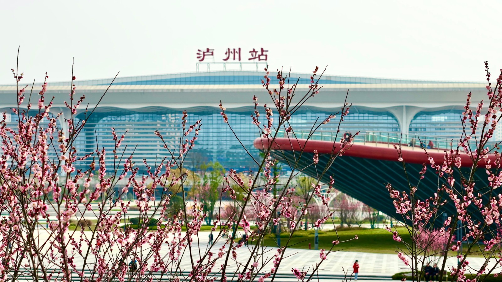 williamhill园林绿化维护